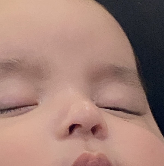 Meet your Posher, Logan - Picture 1 of 1